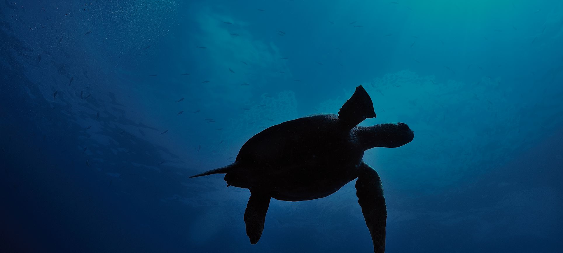 Responsible & Sustainable Tourism Company | Galapagos.com